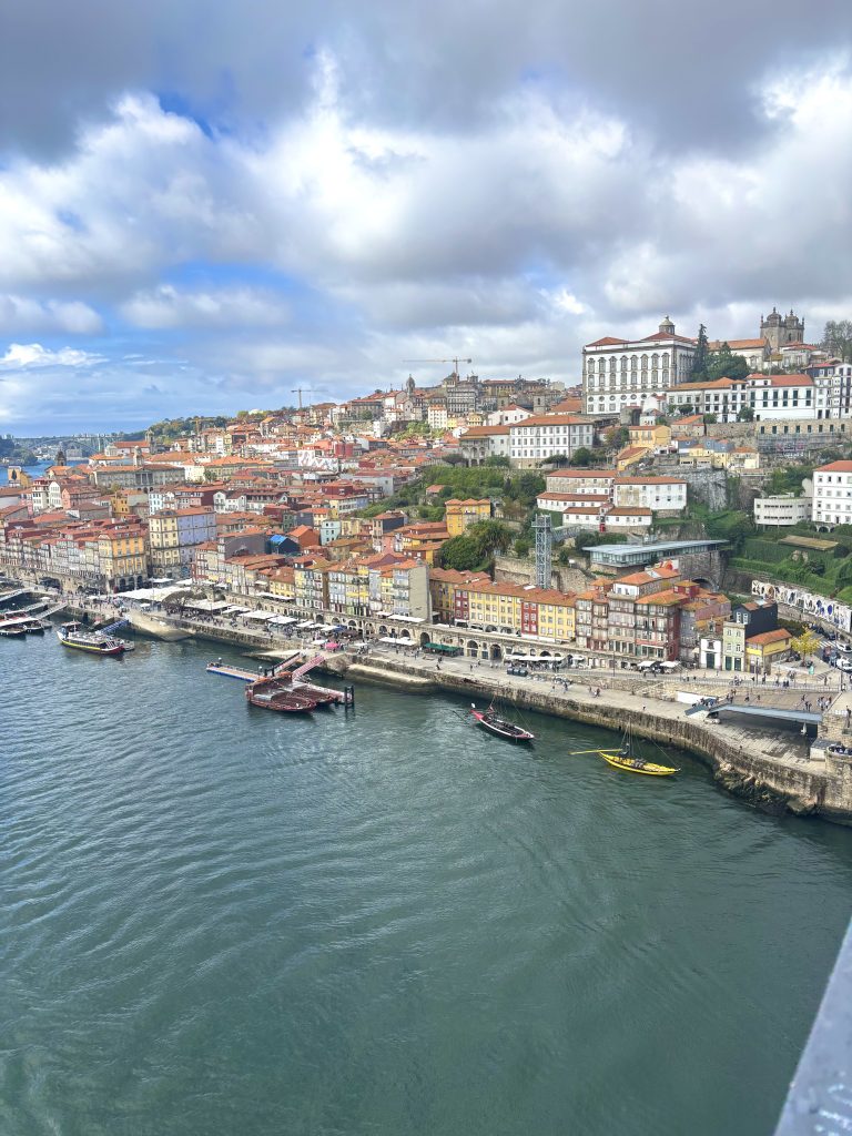 Petsitting from Porto (2025)